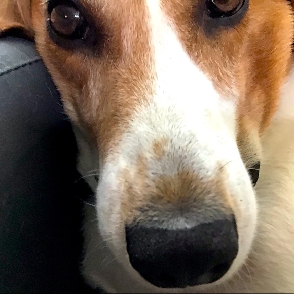 Hi, thanks for stopping by. - Picture 1 of 1